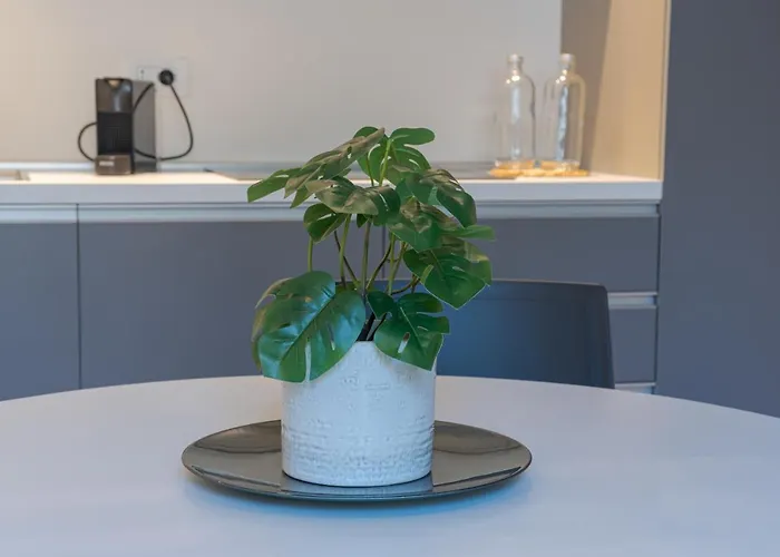 Tigli - By Myhomeincomo